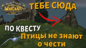 Птицы не знают о чести  квест вов sirus сирус сириус WoW sirus x1 Soulseeker| wow sirus 3.3.5