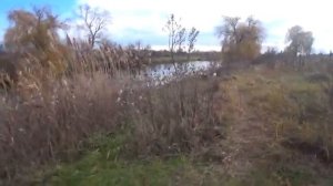 Поскандалил с местными   Рыбалка на поплавок