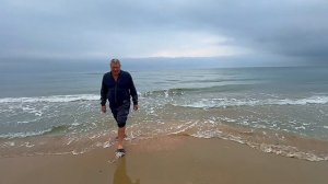 Прогулка с дельфинами. Море в Витязево. Ноябрь 2025