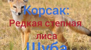 Ретро-образ:винтажная шуба