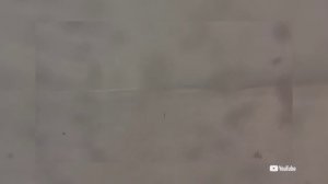 Выпуск новостей 26.11.2025