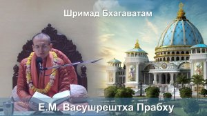26.11.2025 || Шримад Бхагаватам 11.3.47 || Е.М. Васушрештха Прабху