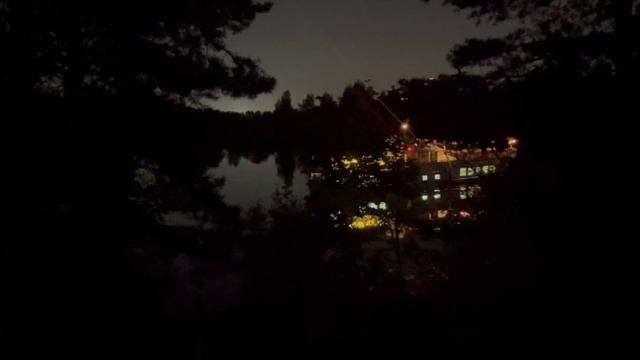 Теплоход Амстердам проплывает мимо причала. Серебряный Бор