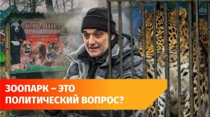 Прокуратура нашла нарушения в работе закрытого зоопарка в Уфе. Как там содержатся животные?