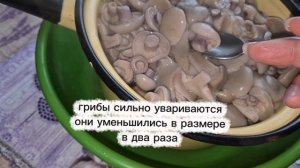 Готовим ГРИБЫ СИНЕНОЖКУ 🍄
