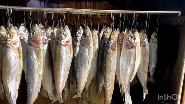 Салака холодного копчения