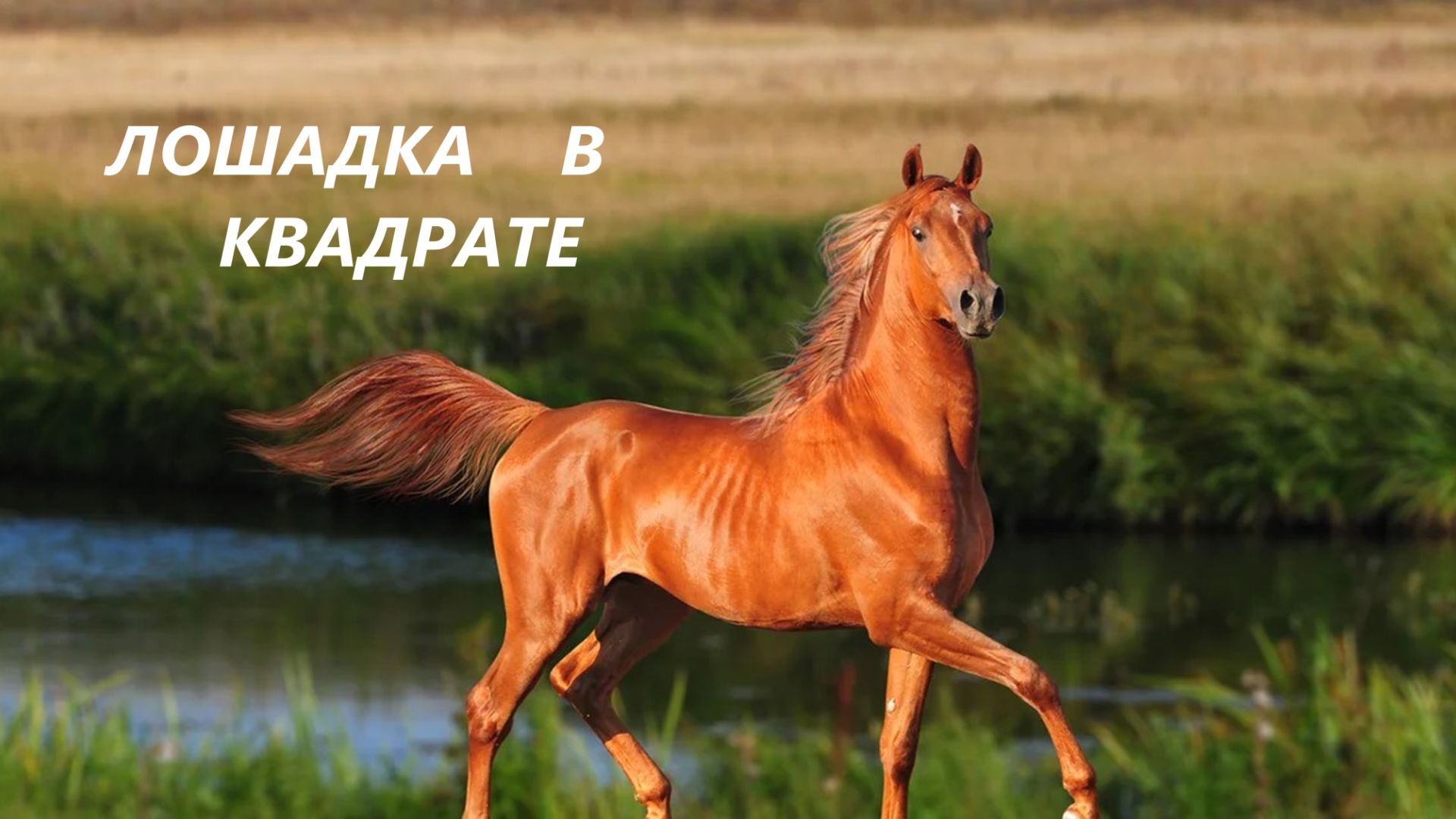 Косметичка-папочка.Подарки.(ноябрь 2025г) смотреть онлайн