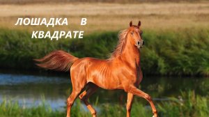 Косметичка-папочка.Подарки.(ноябрь 2025г)