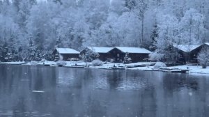 Запуск форели