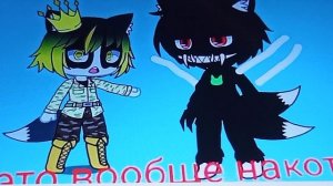 реакция Тиши на разацветных котов