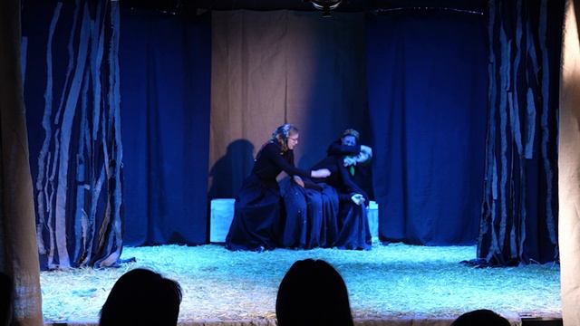 "Марьино поле". Открытый прогон учебного спектакля по мотивам пьесы О. Богаева. 1 состав. смотреть онлайн