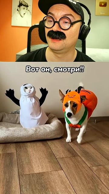 Лучшая роль второго плана смотреть онлайн