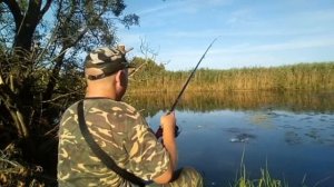 Живое фотографие, рыбалка.