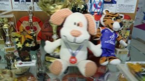 Новости спорта 26.11.2025