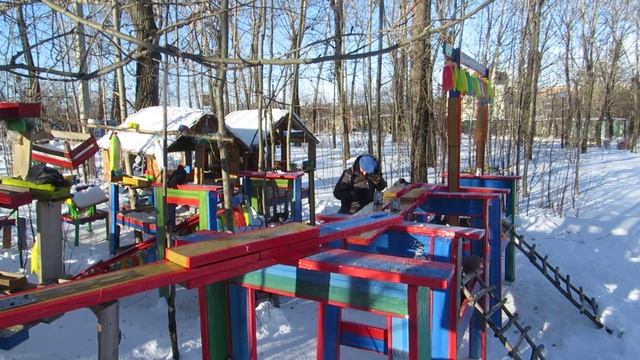 ГОЛУБИ ЛЕНИНСКИЙ ПАРК НА НЕФТЯНИКЕ ХАБАРОВСК 14 декабря 2024 г (Ролик+Слайд)