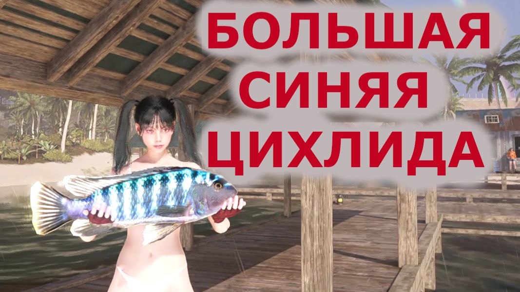 Морская рыбалка на время Редкая рыба БОЛЬШАЯ СИНЯЯ ЦИХЛИДА Once Human