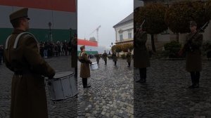 Смена караула в Будайской крепости у президентского дворца Шандора. Будапешт. Венгрия.
