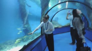 КАЛИНИНГРАД 2025: Подводный туннель ПЛАНЕТЫ ОКЕАН - 26 ноября 2025, СР