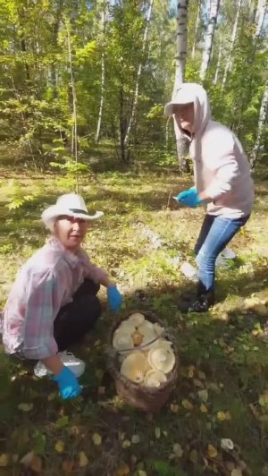 С американками в лес на УАЗ-буханке! Набрали грибов!