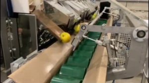 Работа автоматической линии по упаковке яблок в ПЭ пакеты с одним упаковщиком