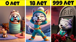 😱 ЭВОЛЮЦИЯ ЭВЕРЕСТ: от РЕБЕНКА до СТАРИКА в ЩЕНЯЧИЙ ПАТРУЛЬ МАЙНКРАФТ