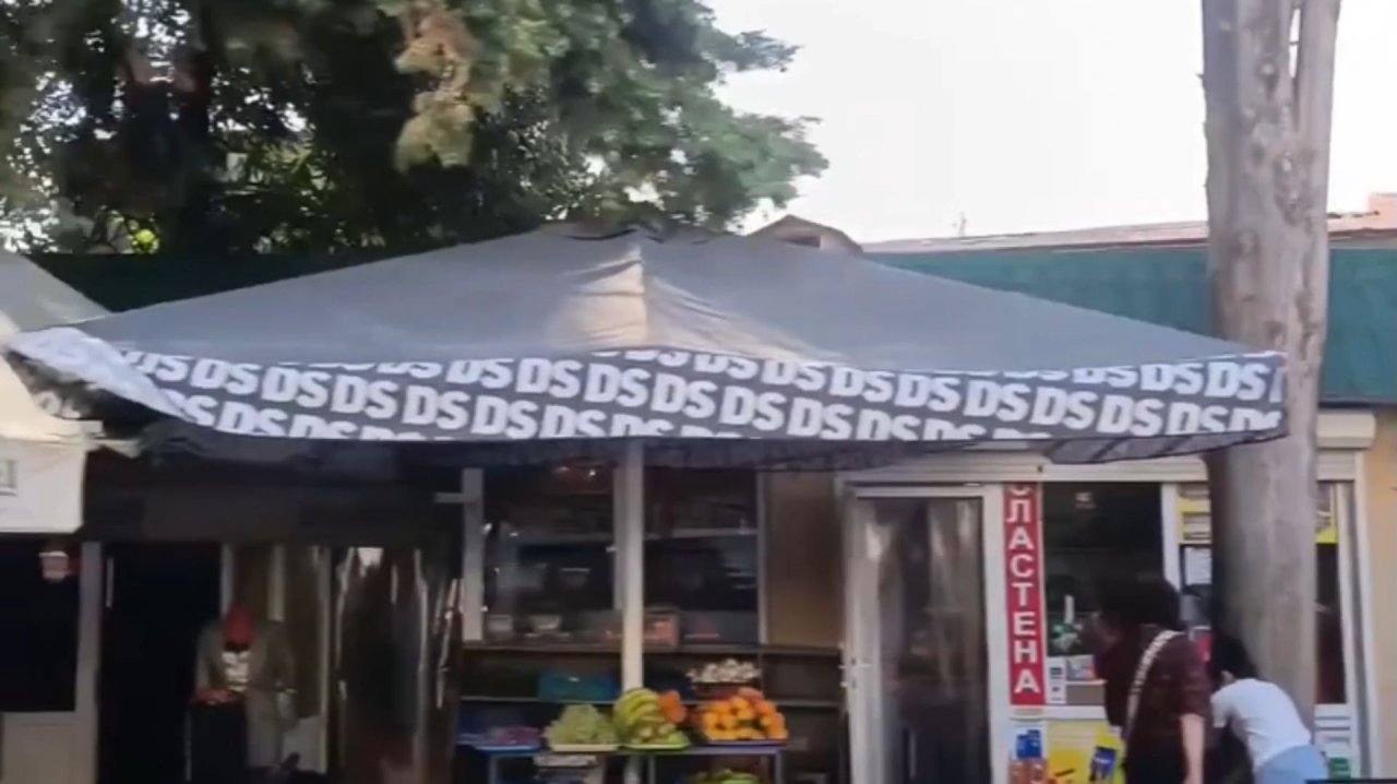 АБХАЗИЯ. ЦАНДРЫПШ ИЗ ОКНА АВТО