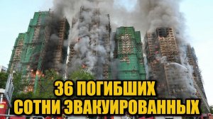 Трагедия в Wang Fuk Court: хроника пожара и спасательной операции