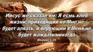 Общее собрание 23.11.2025