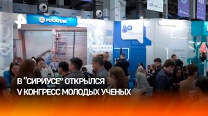 Лучшие умы страны и всего мира собрались в Сочи на конгрессе молодых ученых