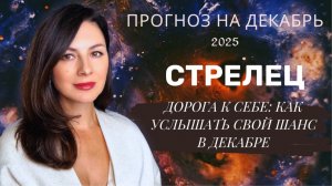 КОЛЕСО САНСАРЫ: ПОЧЕМУ ДЕКАБРЬ ПОВЕРНЕТ ВАШУ СУДЬБУ. Прогноз для СТРЕЛЬЦОВ  на декабрь  2025 год
