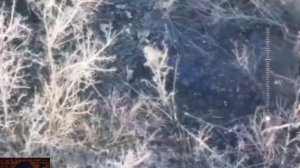 Удары по ВСУ фпв-дронами