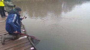 Поимка белый доширак