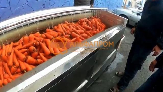 Машина щеточно-абразивная для очистки картофеля и моркови GB-1000 смотреть онлайн