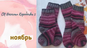 🧦 Носки Ноября 🧦 мои одиннадцатые пары в "Носочную Коробочку 5" 🤩 #носочная_коробочка_5