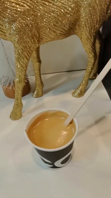 Утреннее настроение 54 / Morning mood 54 ☀️☀️☀️