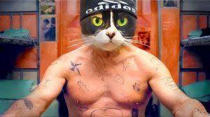 5 ЛАЙФХАКОВ ДЛЯ ТЮPЬМЫ -)