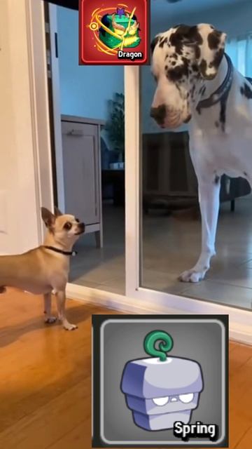 Блокс Фрутс ДРАКОН мем прикол юмор роблокс игры