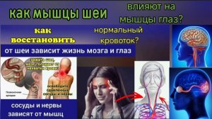 Деградация шеи связана с деградацией глаз. Особые движения шеи и глаз, точки здоровья