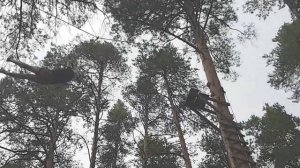 Веревочный тренинг 2016