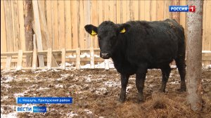 В этом году в Коми начинающие фермеры получили государственную помощь на запуск своего дела