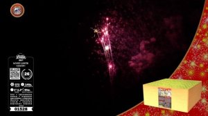 01528-01529 Сенатор