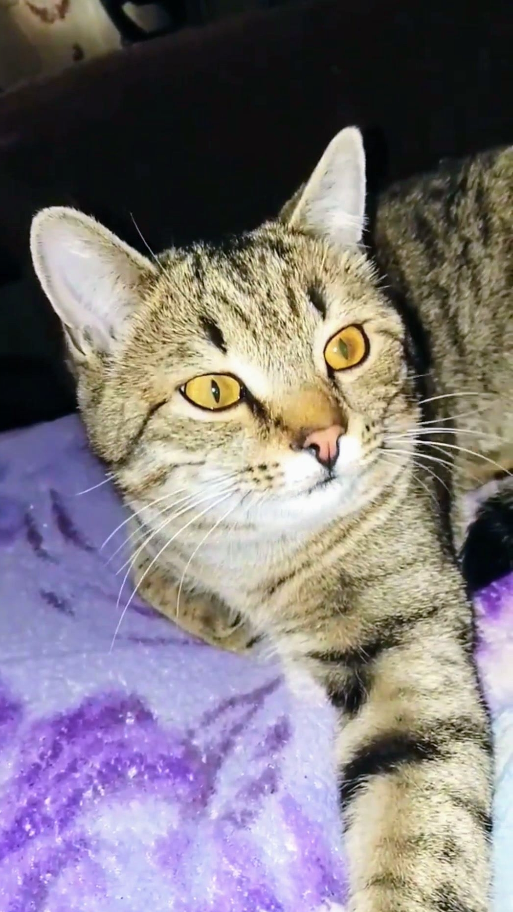 Пейте Кофе! С добрым утром!