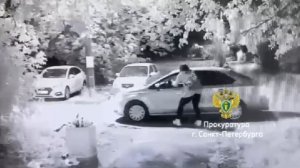 В Петербурге мигрант на арендованном авто ограбил помогавшую ему женщину