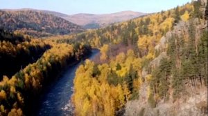 Что такое осень  Группа ДДТ