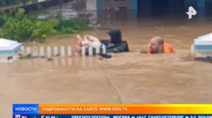 Российские туристы спасли младенца из затопленного дома во Вьетнаме