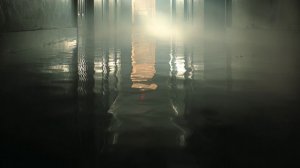 Коммунальные службы осушили скандальный подвал с карпами в Кузбассе