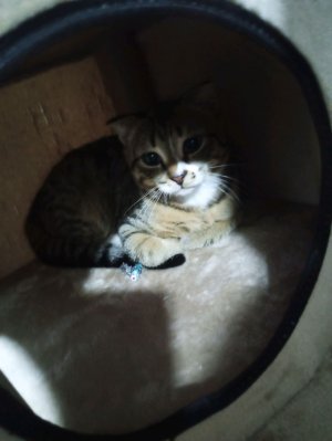 обзор на котором