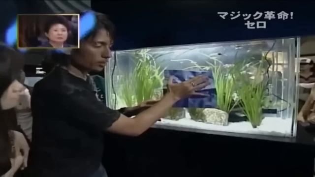 Как достать карту из аквариума сквозь стекло - Секрет фокуса смотреть онлайн