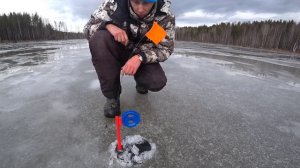 КАК ТУТ РАЗОРВАТЬСЯ? ЩУЧЬИ РАЗДАЧИ ПО ПЕРВОМУ ЛЬДУ!