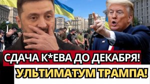 ШОК ТРАМПА; Ультиматум Украине – риски капитуляции!